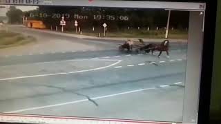 Лошадь серьезно не пострадала.