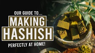 Make Perfect, Potent Hashish at Home!
