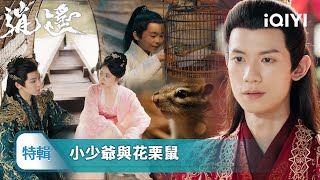 《逍遙》特輯5·不辜負🐭🥜：鼠鼠癡心挂念竹馬人族，卻發現他將爲人夫 | 愛奇藝