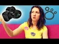 Что такое ВЛОГ / What is VLOG? Видеоблогеры влоггеры, как снять влог | Школа Блоггера