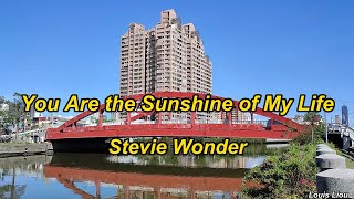 Stevie Wonder  You Are the Sunshine of My Life(Lyrics) screenshot 1