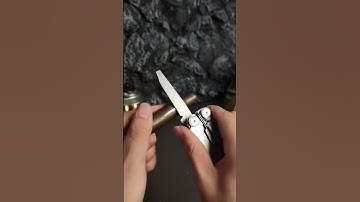 WETACTICS trailblazer #edc #campinggear #multitool #edcgear #outdoors #edctools #outdoorgear #tools