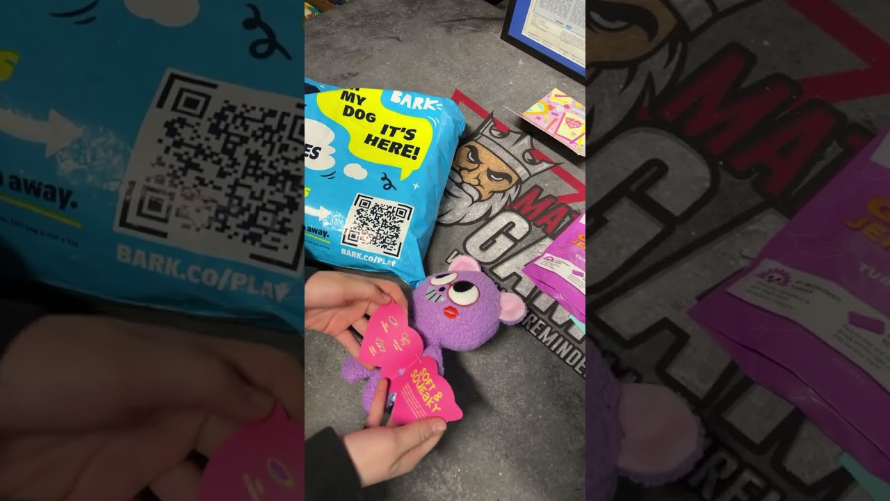 Bark box January 2026 Unboxing 