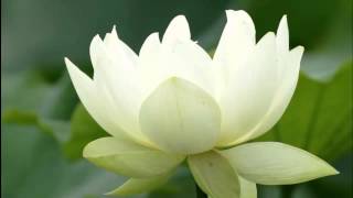 1 Hours of Very Nice Buddhist Meditation Music for Sleep, Relaxing