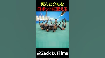 死んだクモをロボットに変える　#shorts