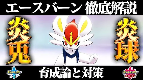 エースバーン 育成論