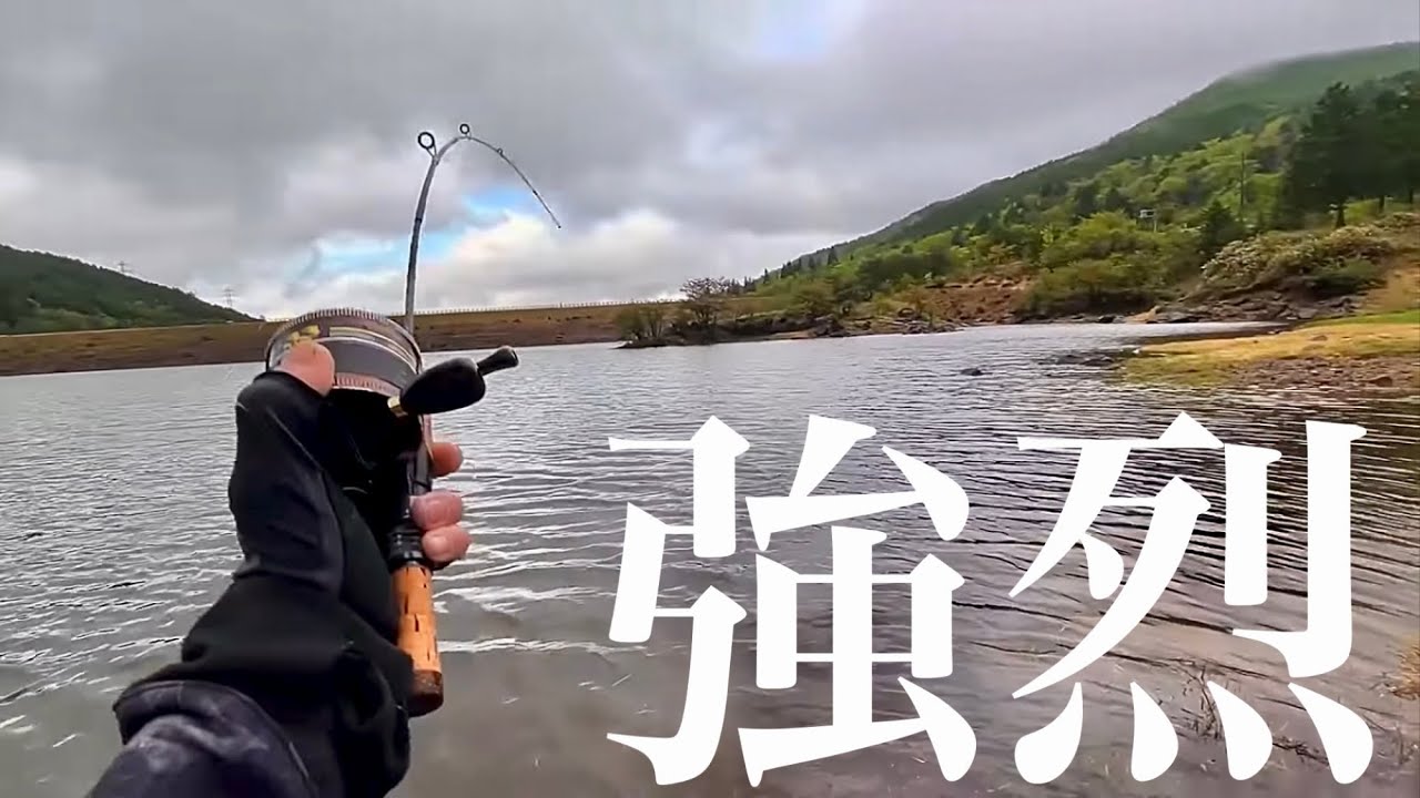 【ダム湖】ぶっといラインでドラグガッチガチファイトが超楽しい！！