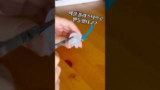 물에 녹는 플라스틱? #클레이 #쿠팡추천템 #클레이아트 #꿀템