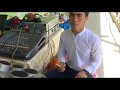 Слукта алмардон тагайов кушклар, сузуки боливар м50 400 тех характеристики отзывы и отдых в шри-ланке отзывы Слукта алмардон тагайов кушклар