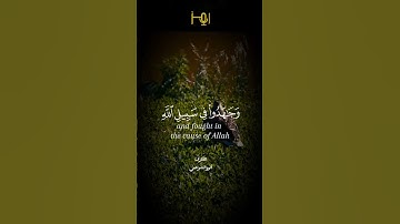 من تلاوات استوديو رمز                      القارئ أنورالشرعبي