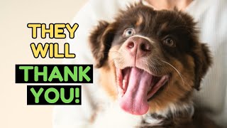 10 Things Dogs Love The Most Do This Daily by Dog Talks 210 views 1 month ago 4 minutes, 59 seconds