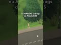 Amoooo este jogo #fyp #paralives #simulation #Twitch #bug #paralivesgameplay #streamer #games #lgbt