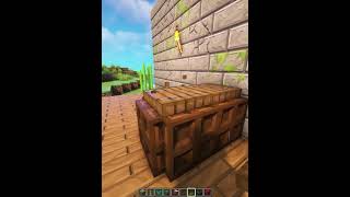 Minecraft Jumpscare Coffin