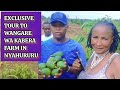 Exclusive tour to wangare wa kabera farm at kiandege nyahururu