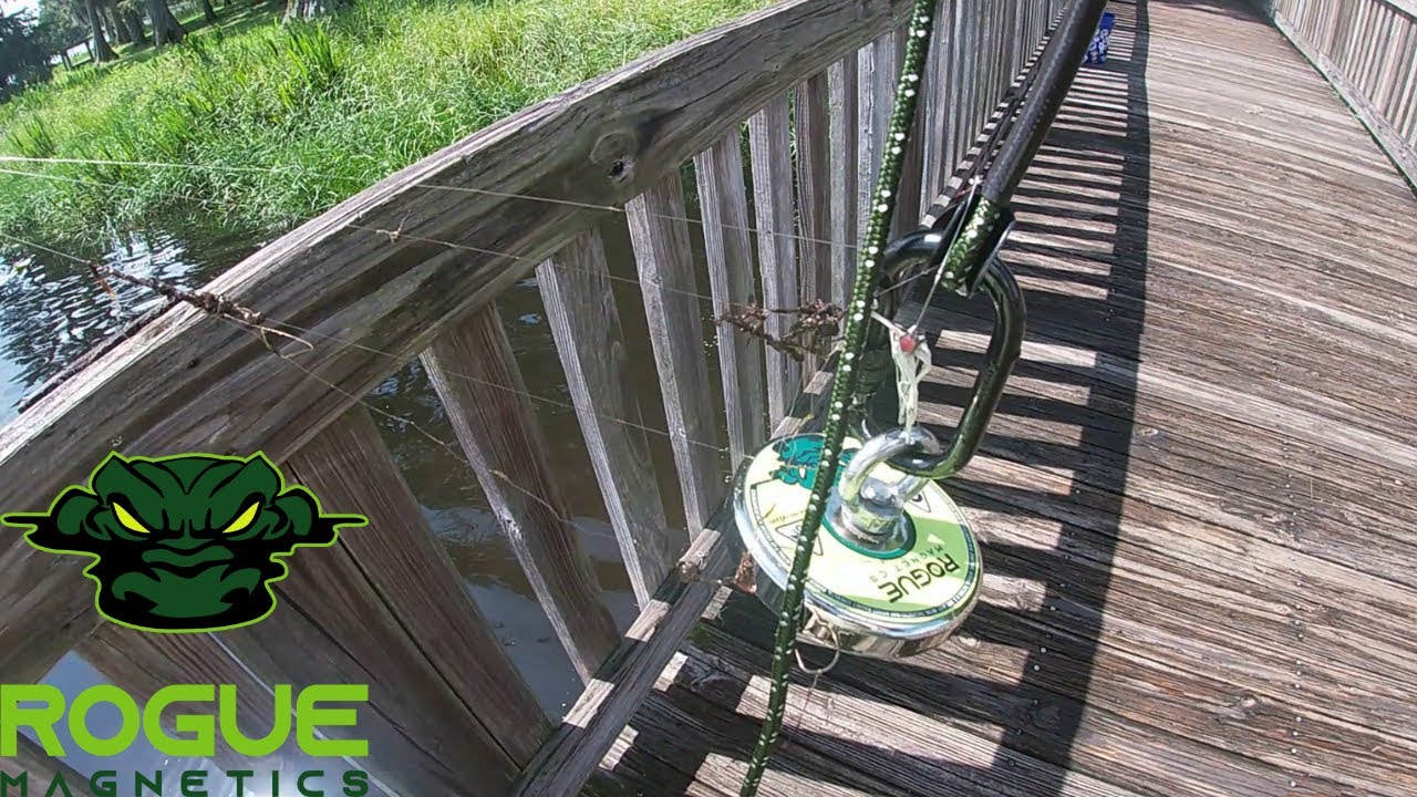 This is Why You Pull Up Fishing Line! Bill Frederick Park & Shadow