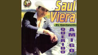 Video thumbnail of "Saul Viera - Bernardo Mata"