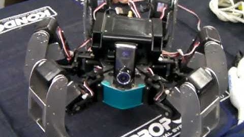 The 2nd KONDO Land Multi-Legged Robot Obstacle Race, YASHIGANI