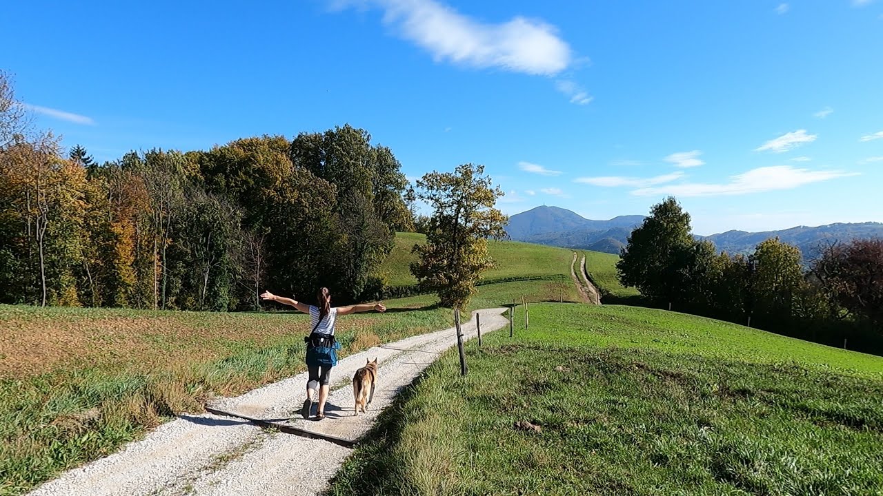 Снова пыльная работа и жизнь в окружении потрясающей природы | Жизнь Мартины