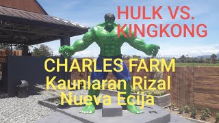 HULK VS. KINGKONG AT CHARLES FARM KAUNLARAN RIZAL NUEVA ECIJA