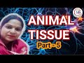 Biology class 9th NCERT Part 5 Animal tissue