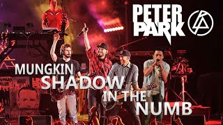 NUMB X IN THE SHADOW X MUNGKIN NANTI - LINKIN PARK FT THE RASMUS & NOAH MASHUP ( live parodi )