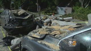Strong Winds, Falling Trees Cause Damage Across L.A.