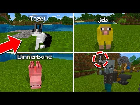 5-name-tag-easter-eggs/tricks-in-minecraft!-(pc-pe-xbox)