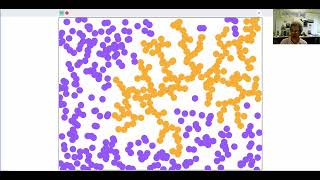 Diffusion-Limited Aggregation in Scratch 1