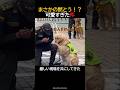 相棒に捧げた最後の黙とう