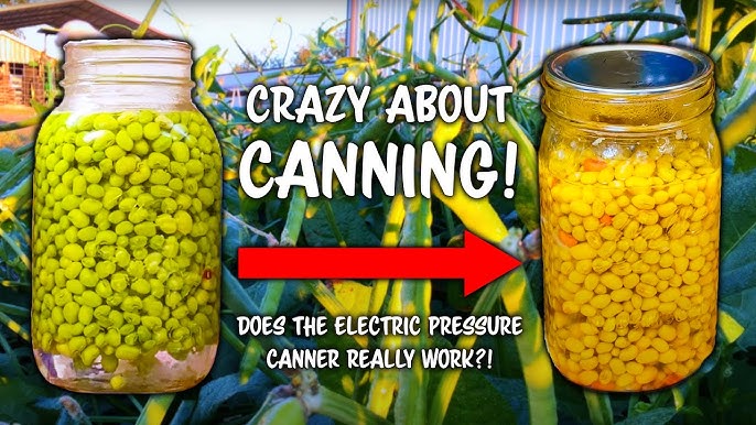 Presto Precise® Digital Pressure Canner - Product Info - Video - Presto®