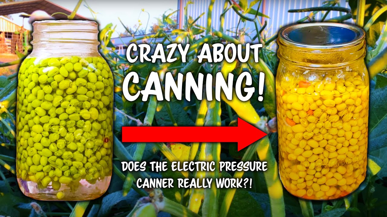 Does The Electric Pressure Canner Really Work? 