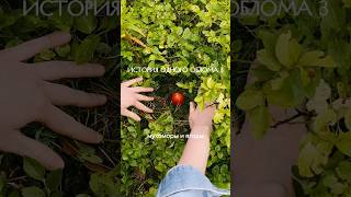 #Терскол #Приэльбрусье #кавказ#северныйкавказ#горы#кбр#горыкавказа#эльбрус#чегет#elbrus#hiking