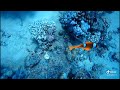 Sharm El Sheikh Giugno 2023