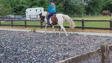 Abigail Bairstow & Paddy Intro 4 2024