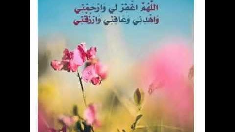 تلاوة رائعة وجميلة للقارئ معاذ العيد