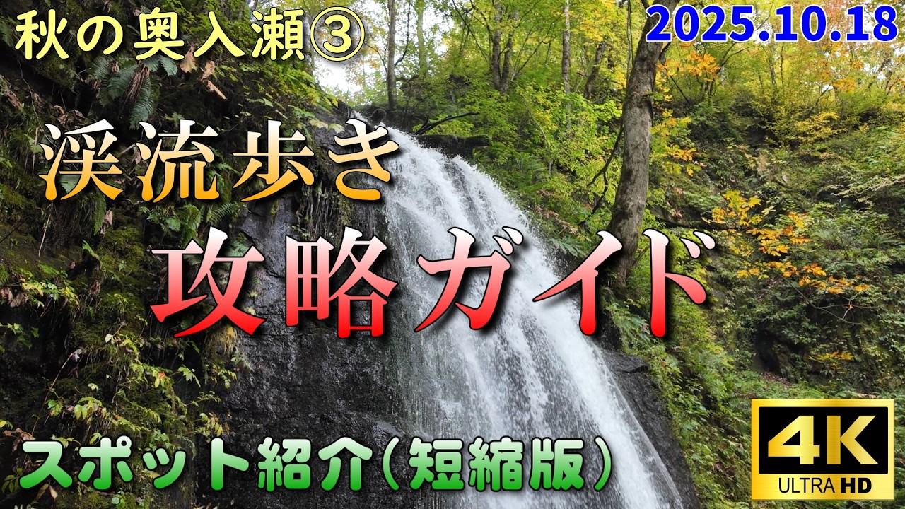 【秋の奥入瀬③渓流歩きのコンプリートガイド】石ヶ戸から子ノ口まで、滝の見どころへの行き方を中心に紹介する渓流歩きガイドの決定版です(2025.10.18)