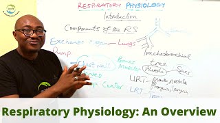 Introduction to Respiratory Physiology screenshot 2