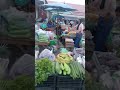 #funny #thaipm #ขำๆ #food #thaifood #comedy #streetfood