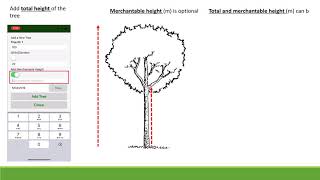 MyGreenbank Tutorial 2 screenshot 5