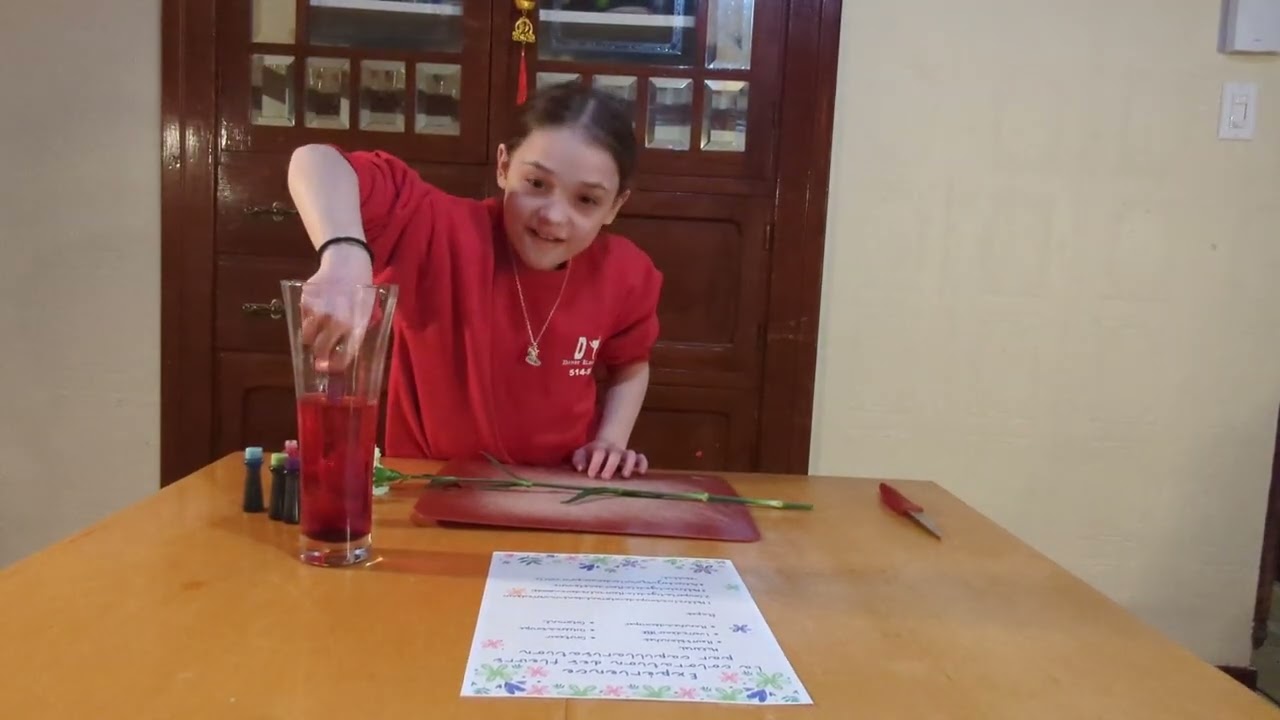 Expérience scientifique Charlie 5e année 