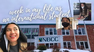 Week In My Life International Student - Nbcc St. Andrews