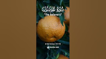 Surah Al Mu'minun 111-112 Hindi - Urdu Audio translation |  سورة المؤمنون #surahalmuminun