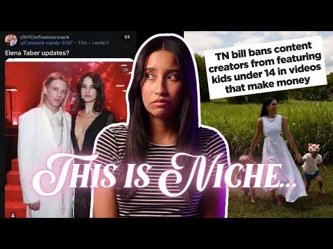 THIS IS NICHE, BUT... an influencer was snarking on herself & tennessee is done with family vloggers