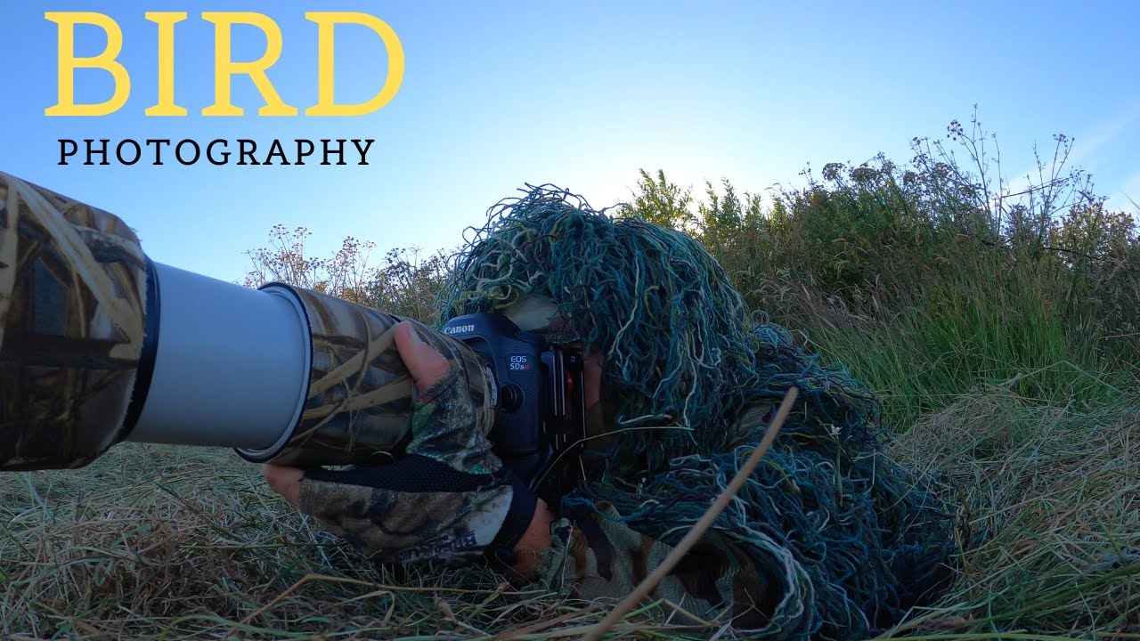 BIRD | WILDLIFE PHOTOGRAPHY UK | Photographing Marsh Harriers