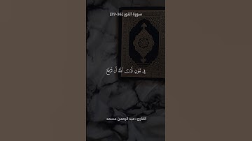 تلاوة من سورة النور | القارئ عبد الرحمن مسعد 🤍🎧