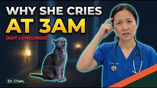 The REAL Reason Your Old Cat Cries at Night — And It's NOT Loneliness