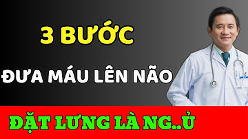 3 Bước Đơn Giản Để Đưa Máu Lên Não Và Đặt Lưng Cái Là Ngủ Ngon Một Mạch Đến Sáng