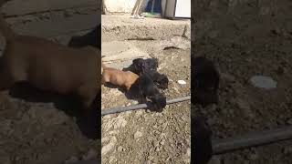 Bunlarda Ayrı Bir Güzellik