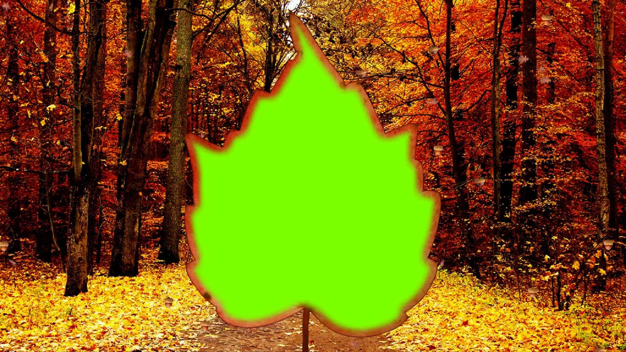 Autumn Leaves green screen photo frame