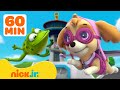 PAW Patrol Lookout Tower Animal Rescues! w/ Skye, Chase &amp; Rocky | 1 Hour Compilation | Nick Jr.